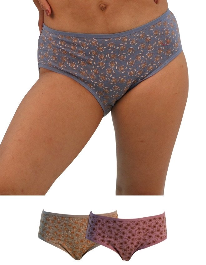 Women's Floral Design Mid Rise 3-Pack Panties, Multicolor - LightSteelBlue