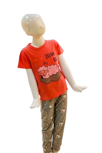 Dream Big Girls’ Pajama Set – Soft, Cozy & Adorable Sleepwear - Pink