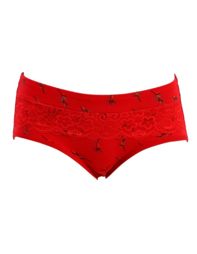 Women's Floral & Lace Front Design Mid Rise 3-Pack Panties, Multicolor - Red