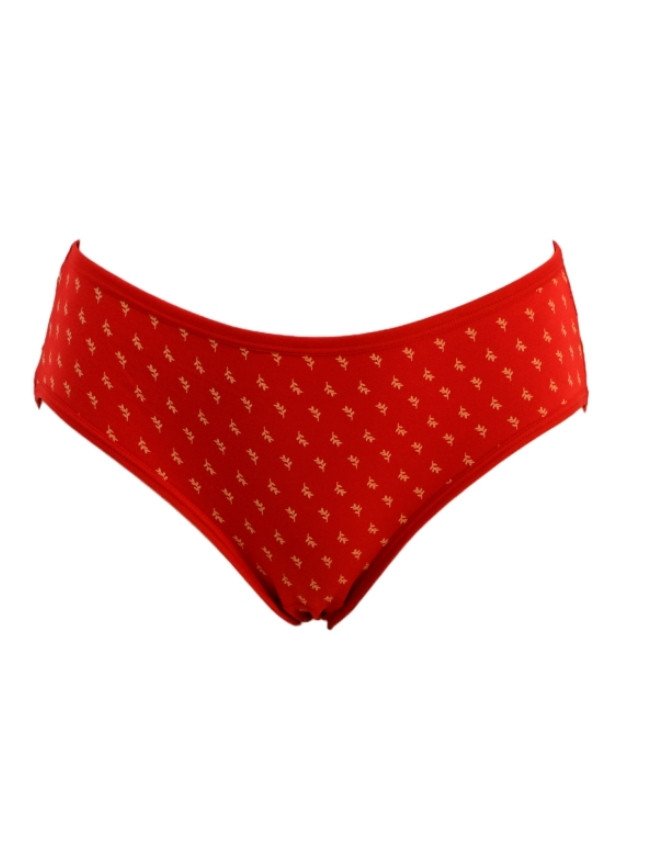 Women's Multiple Design Mid Rise 6-Pack Panties, Multicolor - Red